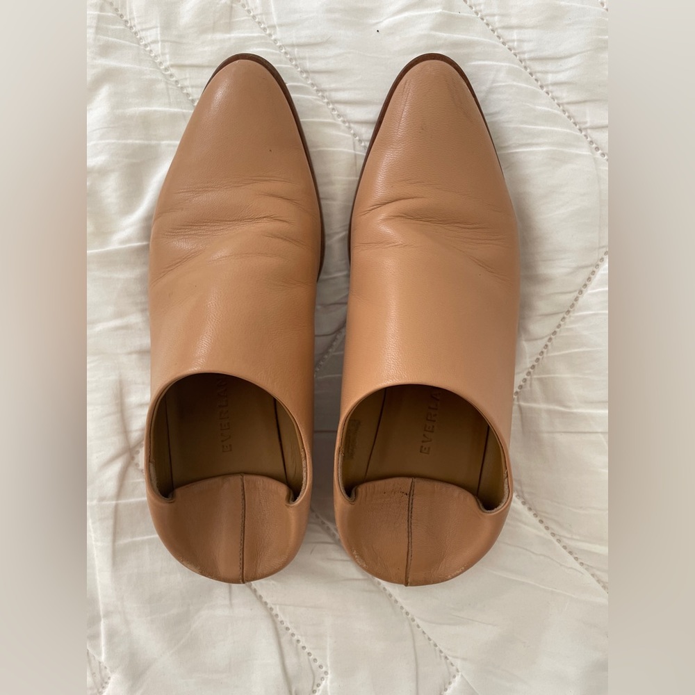 Everlane Modern Babo Mule Slide